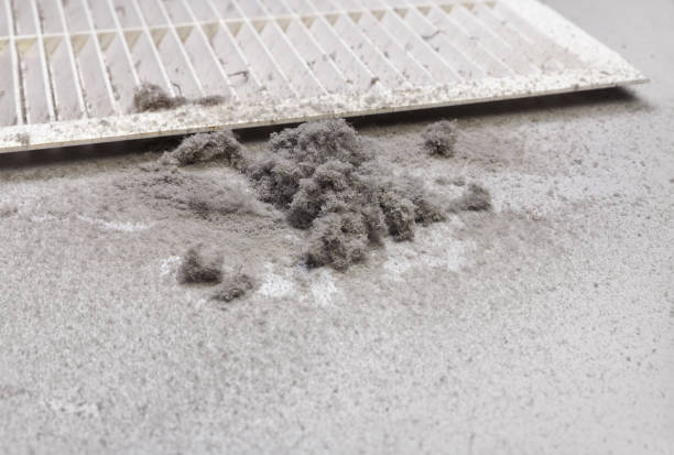 Best Dryer Vent Cleaning Services  in Costa Mesa, CA